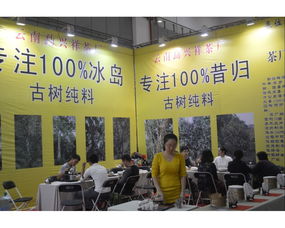 第八届中国武汉茶业博览交易会市场营销策划方案